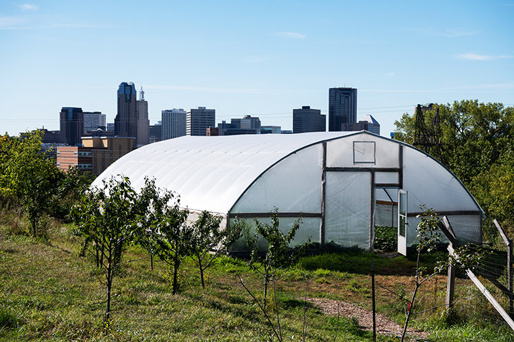 Urban greenhouse