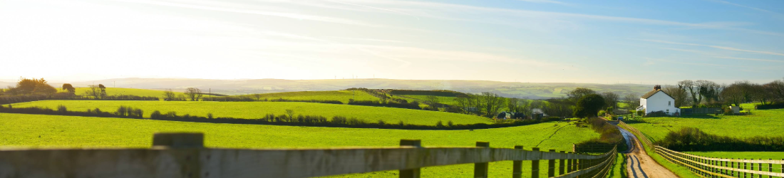 Landscape of farm with fence