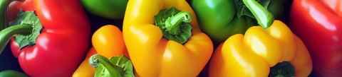 Red, yellow, and green peppers.